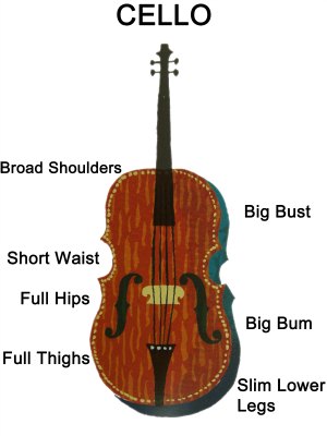 Cello Body Shape