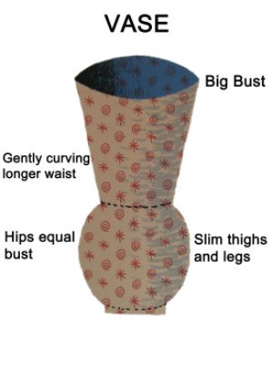 Vase Body Shape