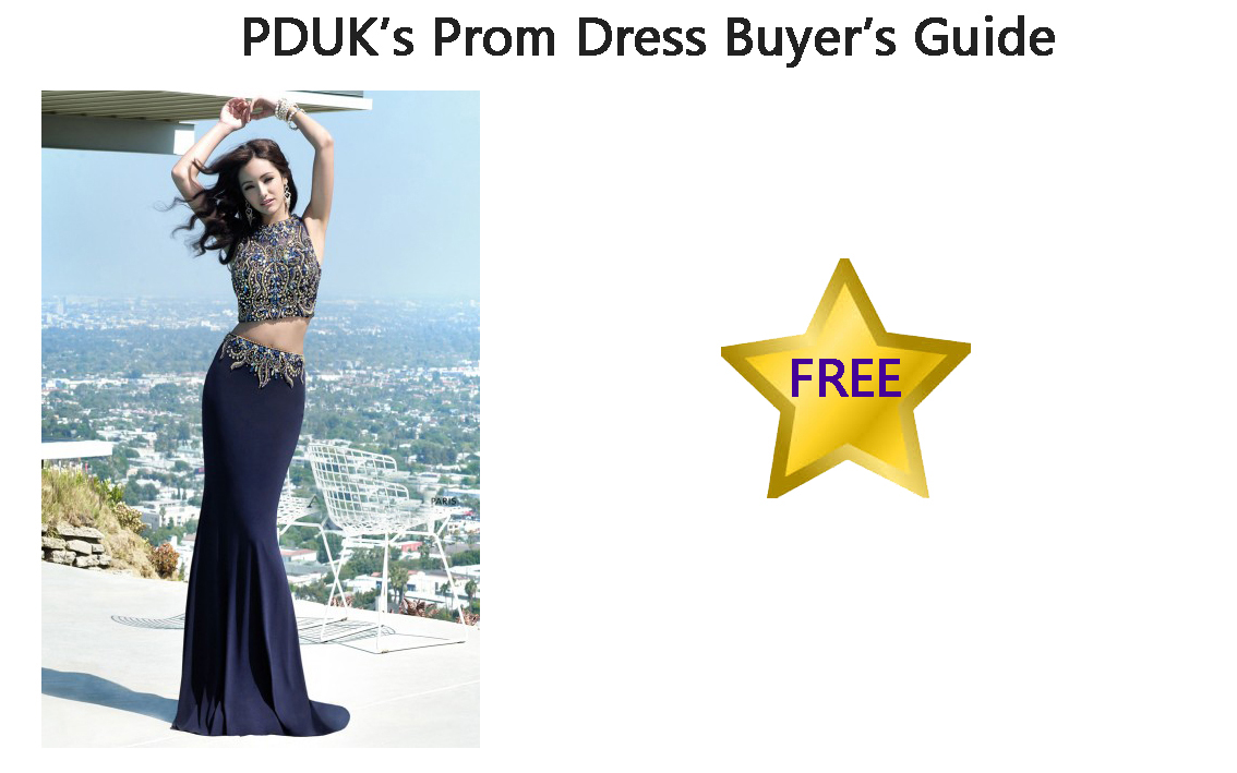 Read Our Prom Dress Buyers Guide...